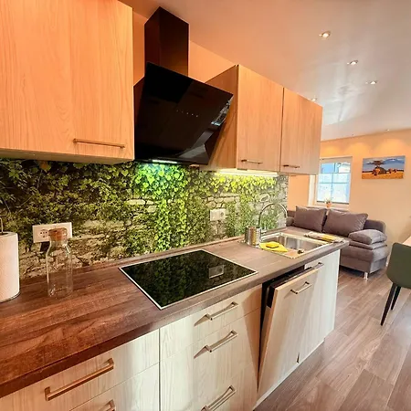 Ruheoase Sachsenbrunn Hochwertig Sanierte Ferienapartments Am Werratalradweg Apartment Eisfeld