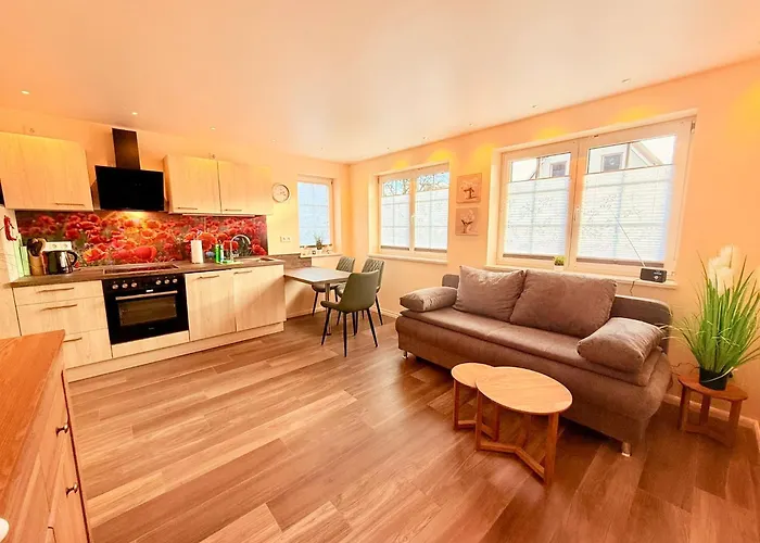 Appartement Ruheoase Sachsenbrunn Hochwertig Sanierte Ferienapartments Am Werratalradweg